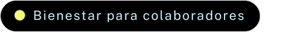 BIENESTAR PARA COLABORADORES (4)
