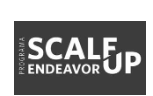 Programa Scale Up Endeavor